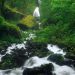Oregon - Wahkeena Falls, Columbia River Gorge