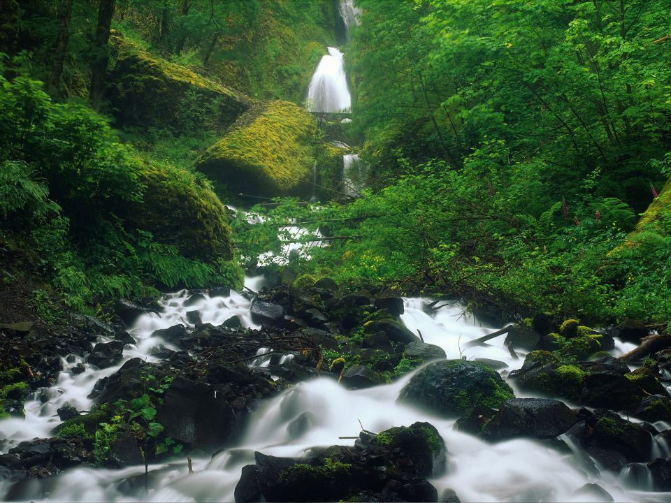 Oregon - Wahkeena Falls, Columbia River Gorge