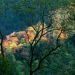 Tennessee - Autumn Light, Great Smoky Mountains