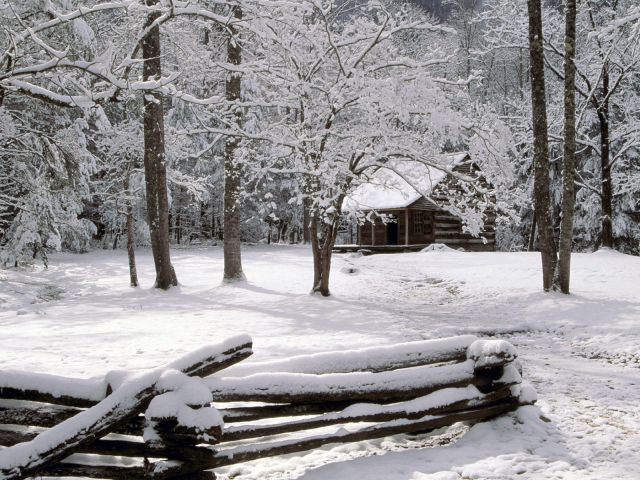Tennessee - Carter Shields Cabin in Winter, Great Smoky Mountains National Park