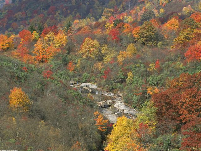 Tennessee - Changing Seasons, Smoky Mountains National Park Tennessee