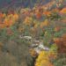 Tennessee - Changing Seasons, Smoky Mountains National Park Tennessee