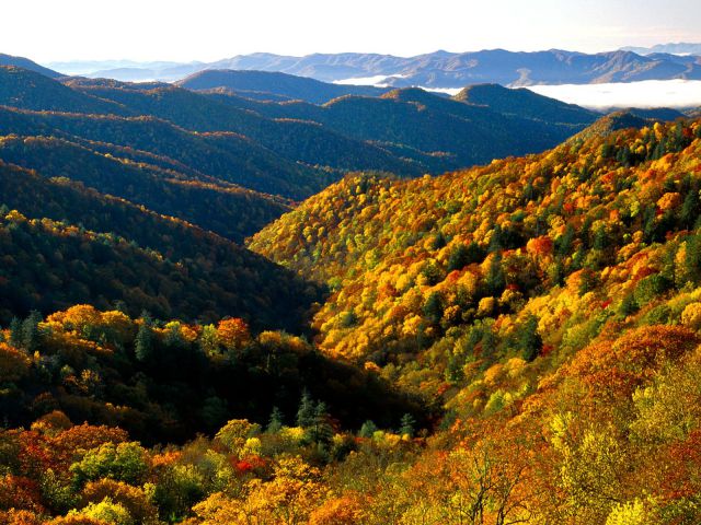 Tennessee - Deep Creek Valley, Great Smoky Mountains National Park