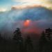 Tennessee - Foggy Sunrise From Clingmans Dome, Great Smoky Mountains