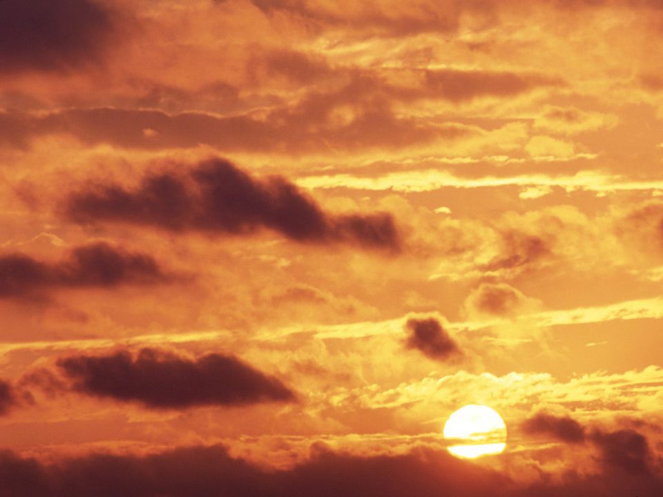 Tennessee - Golden Glow, Percy Warner Park