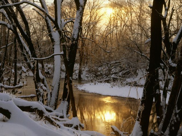 Tennessee - Harpeth River Winter Sunrise, Williamson County