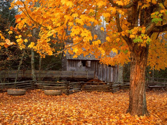 Tennessee - John Cable Mill, Cades Cove, Great Smoky Mountains National Park