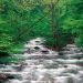 Tennessee - Little Pigeon River, Great Smoky Mountains