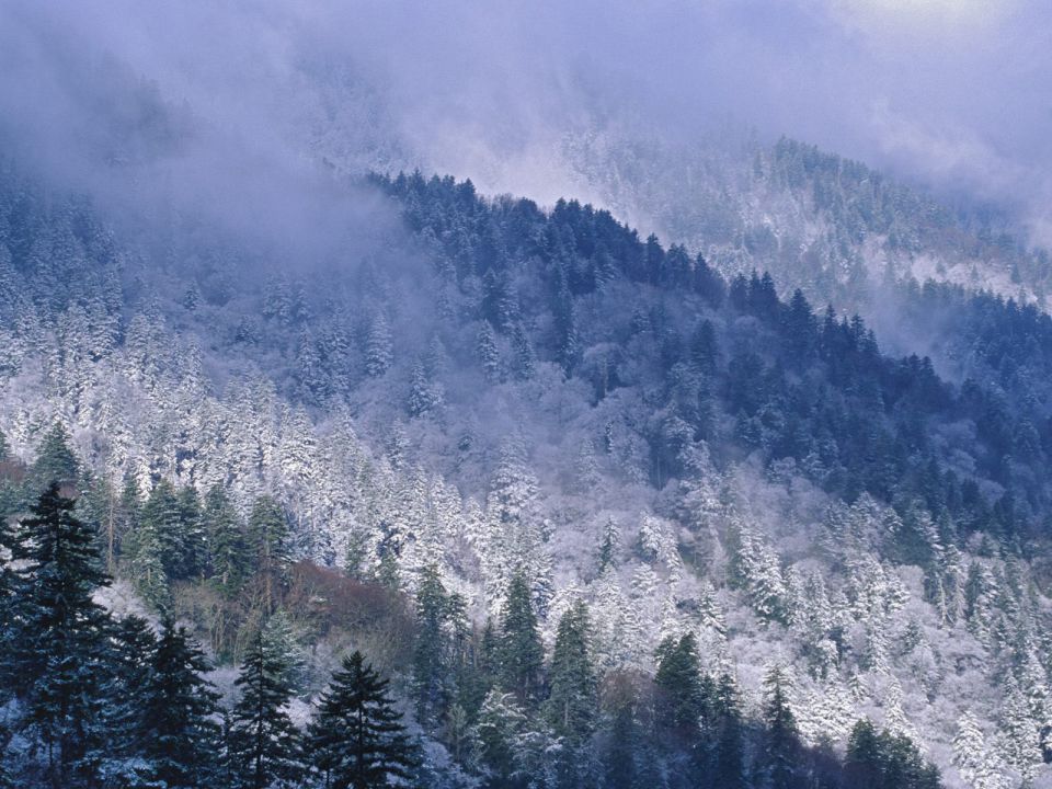 Tennessee - Morton Overlook, Great Smoky Mountains