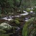 Tennessee - Mountain Stream, Great Smoky Mountains National Park