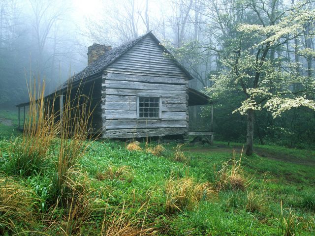 Tennessee - Peaceful Morning, Noah _Bud_ Ogles Place, Smoky Mtns