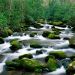 Tennessee - Roaring Fork River, Great Smoky Mountains