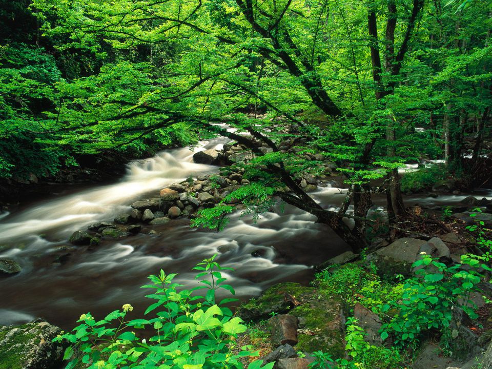 Tennessee - Tremont, Great Smoky Mountains National Park