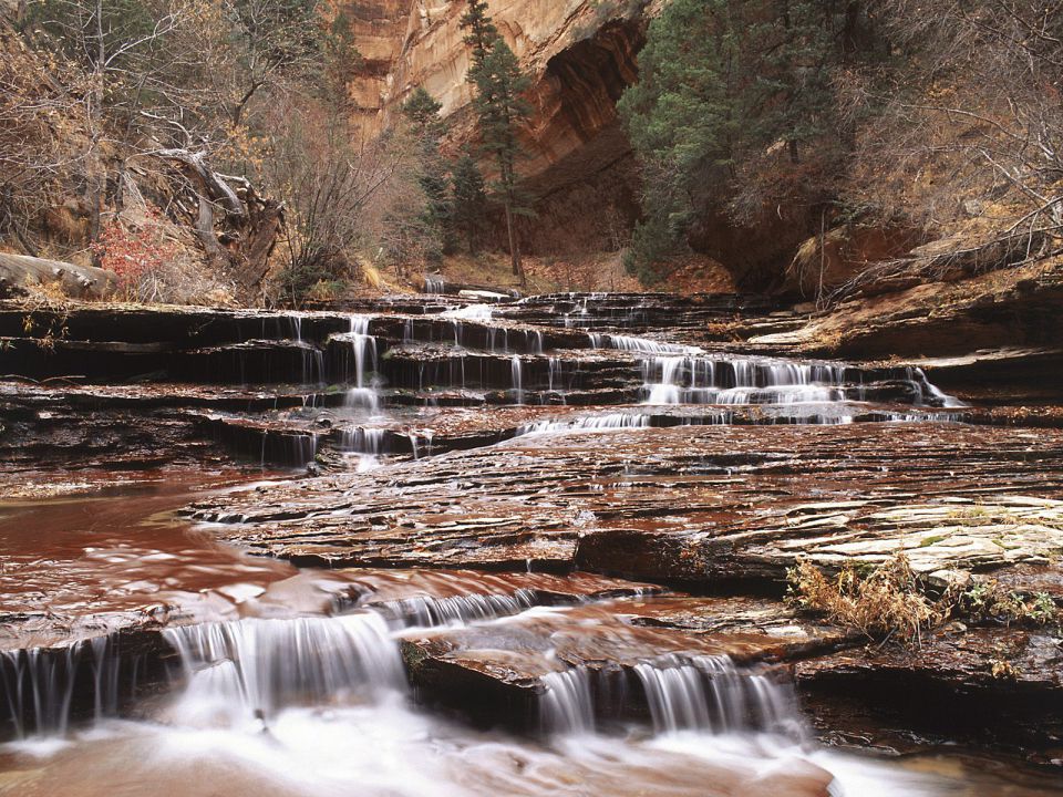 Utah - Left Fork of North Creek, Zion National Park