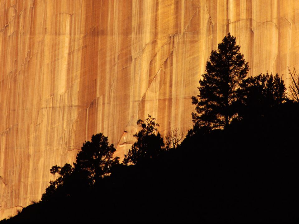 Utah - Zion National Park