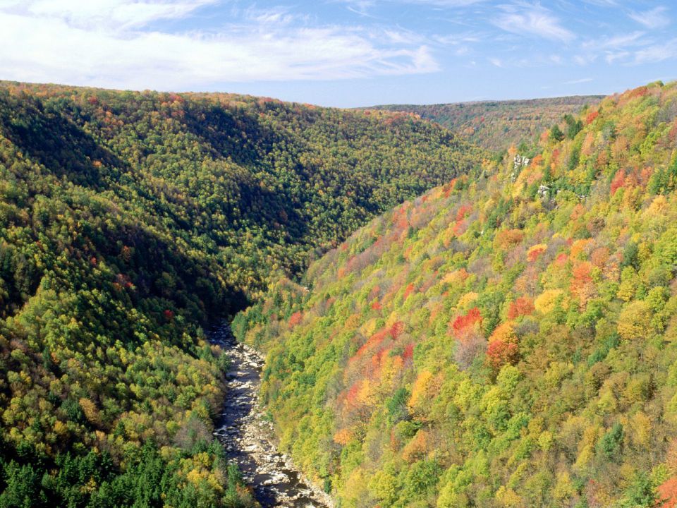 Virginia - Blackwater River From Pendleton Overlook, West Virginia