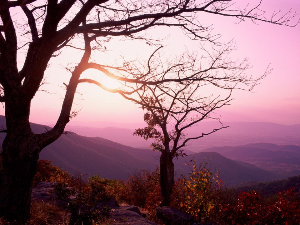 Virginia - Shenandoah National Park