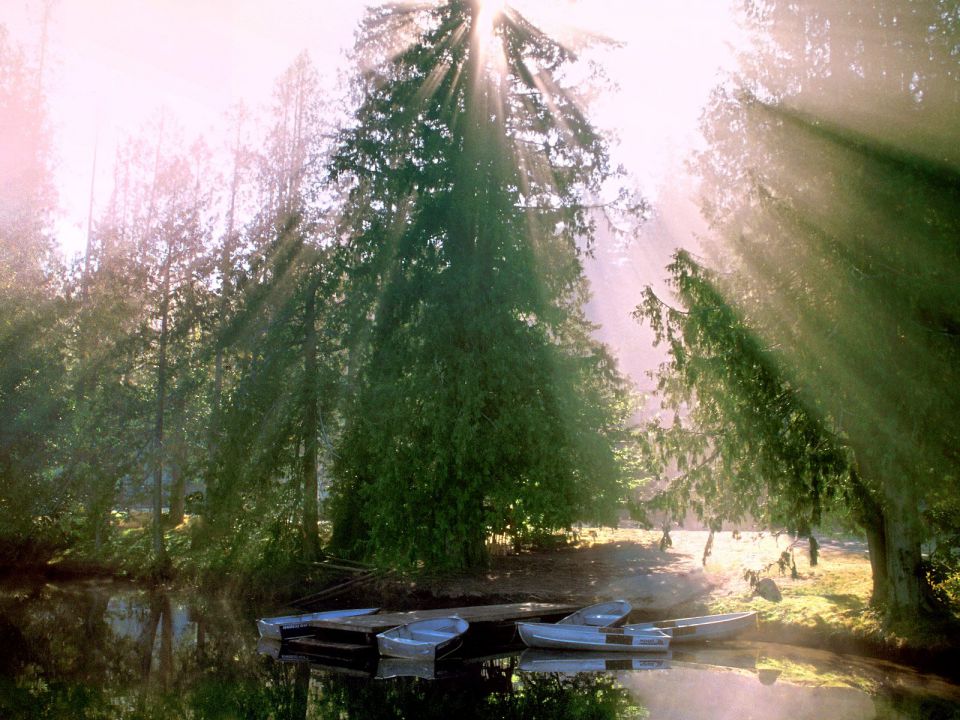Washington - A Promising Morning, Seabeck