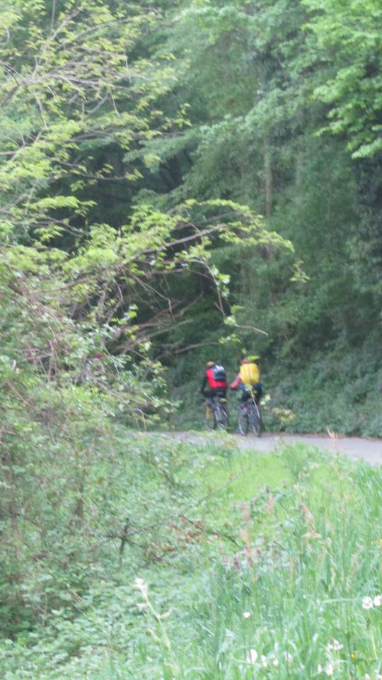 Puntarski pohod v gorico 2015 - foto povečava