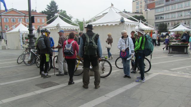 Puntarski pohod v gorico 2015 - foto