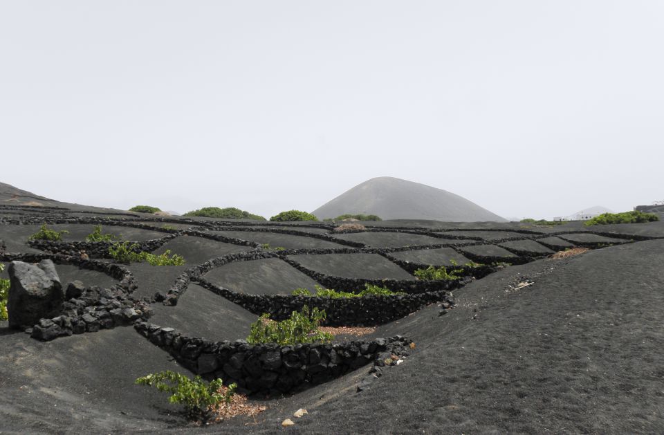 Lanzarote 2012 - foto povečava