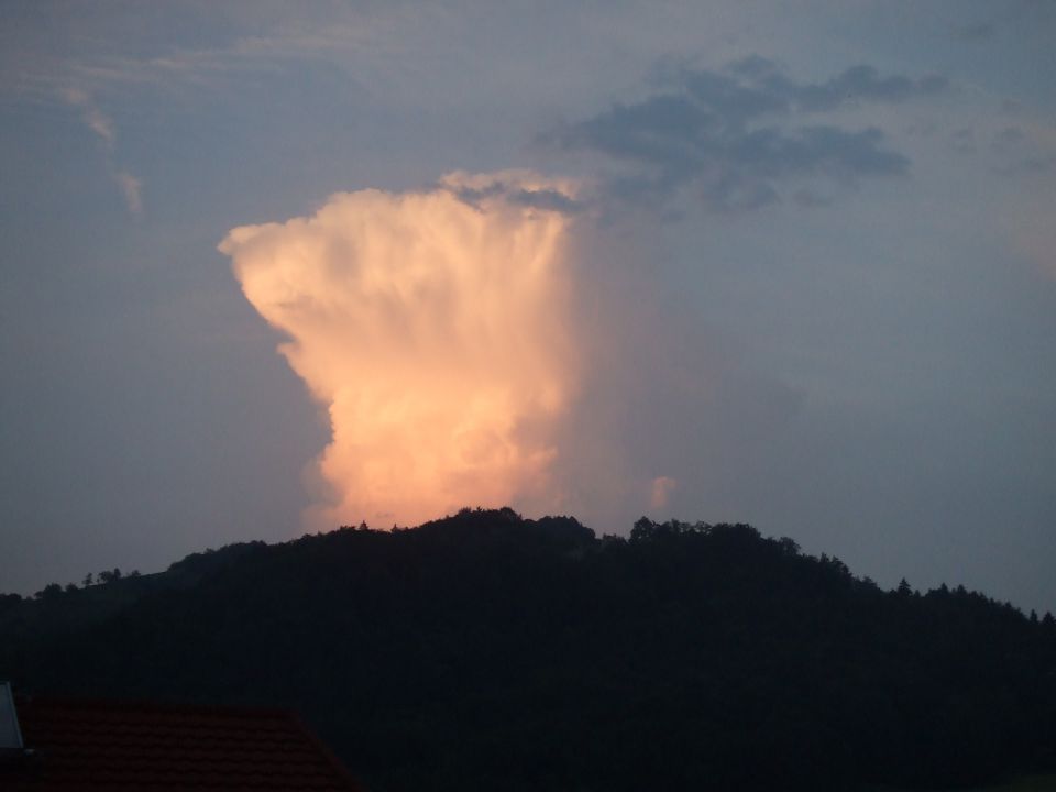 Po polju pa rožce cvetijo - foto povečava