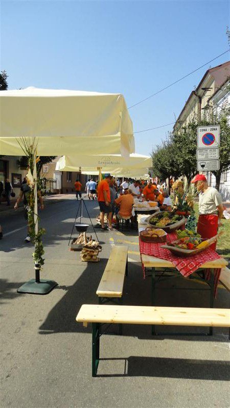 Bograč fest 2011 - foto