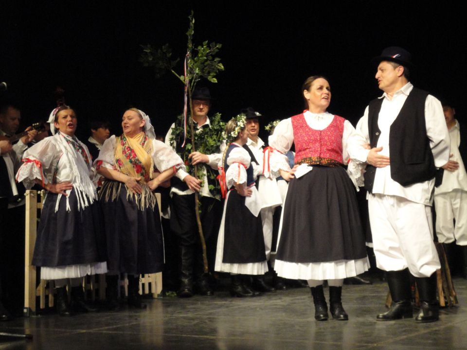 Koncert M. Sobota  2012 - foto povečava