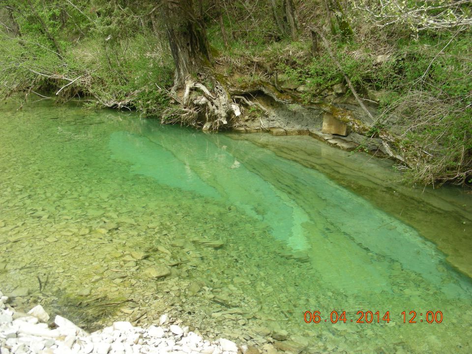 POHOD PO DRAGONJI - foto povečava