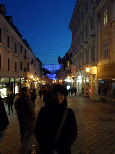 Budimpešta, Bratislava,10.-11.12.2011 - foto