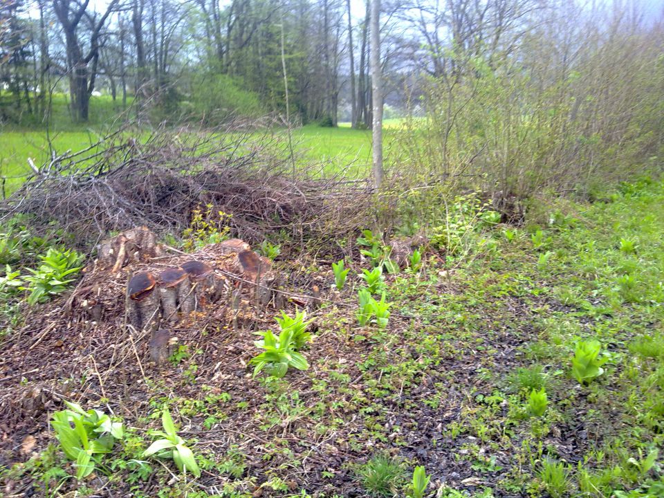 Preddvor - Natura 2000 - foto povečava