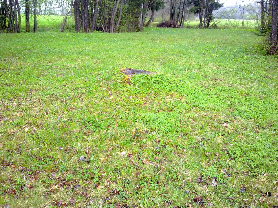 Preddvor - Natura 2000 - foto povečava