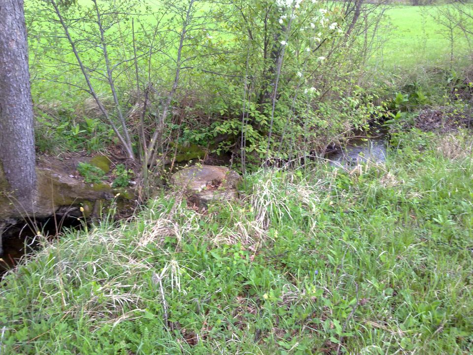 Preddvor - Natura 2000 - foto povečava