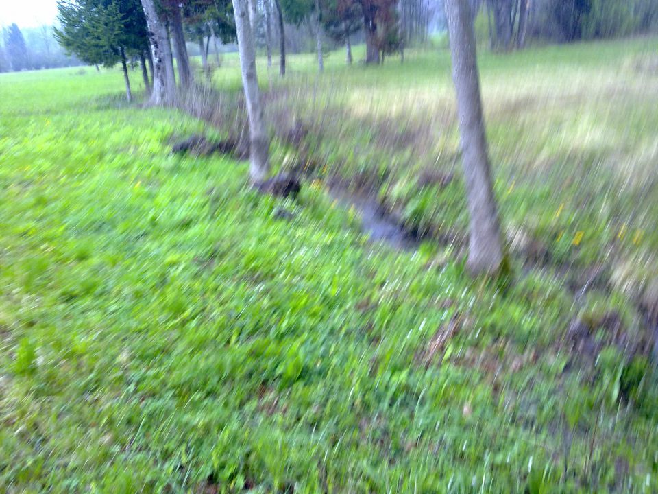 Preddvor - Natura 2000 - foto povečava