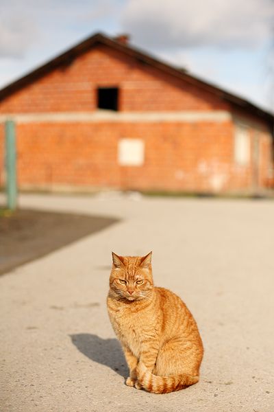 Šola  - foto povečava