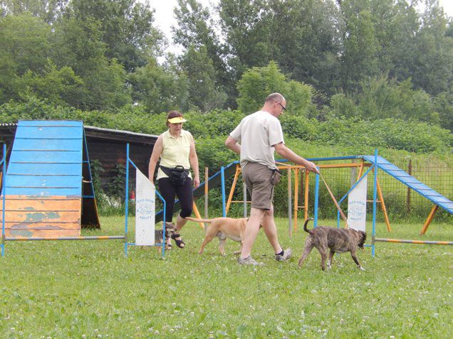 Šola  - foto povečava