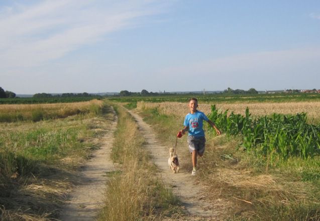 Šola  - foto povečava