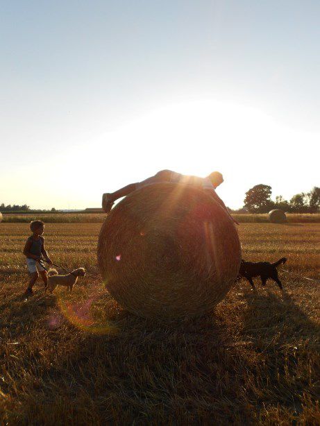 Šola  - foto povečava