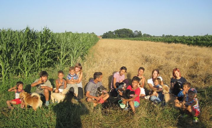 Šola  - foto povečava