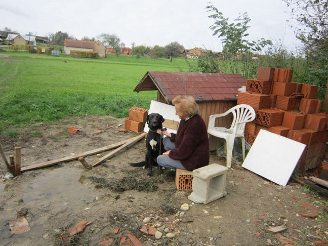 Suza - foto povečava