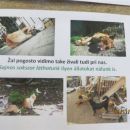 Zbiranje hrane in opreme za živali na OŠ Lendava