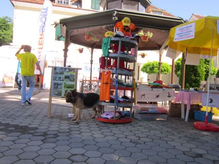 Stojnica na Maratonu treh src v Radencih, 18. 5. 2013