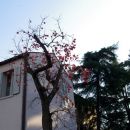 15. 12. SPREHOD PO KOPRU