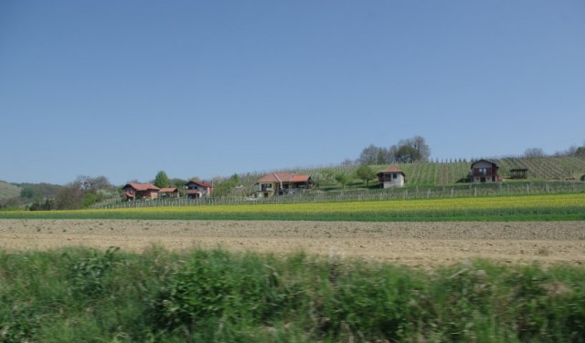 10. 4. VINARIUM LENDAVA - foto