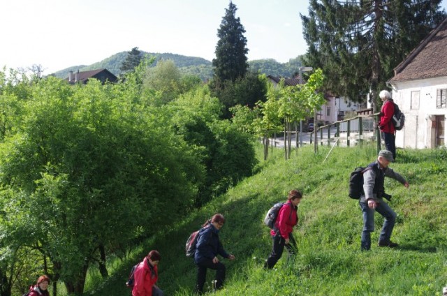 19. 4. AZALEJA V BOŠTANJU - foto