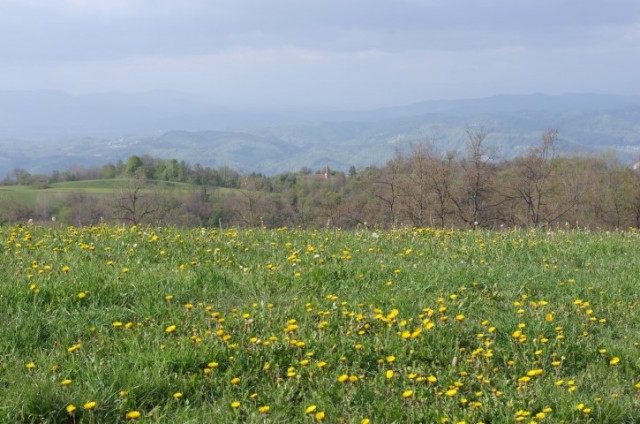 26. Zaloški travniki in Skalica - 951 m - foto