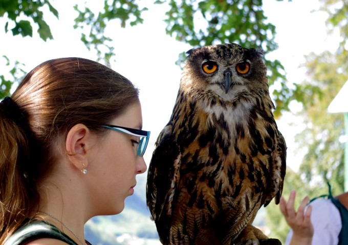 27. 8.  LETEČA PREDSTAVA NA SEVNIŠKEM GRADU - foto povečava