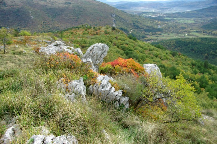 25. 10. ŽAREČI RUJ NA KRASU - foto povečava