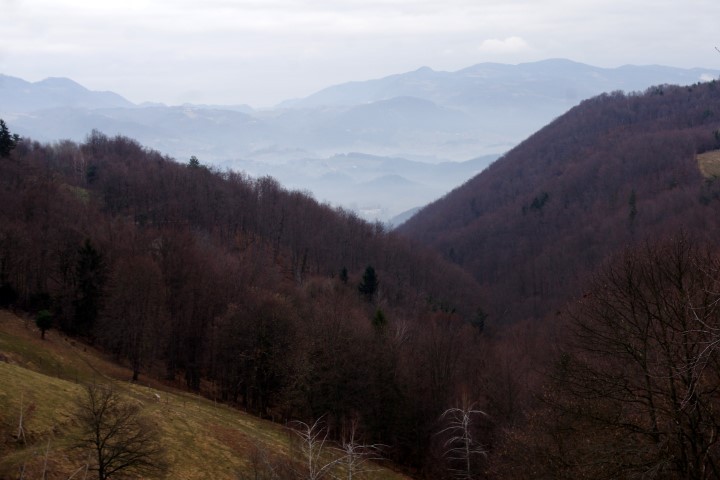 31. januar 2017 - Rekštajn, Laze, Radovan. - foto povečava