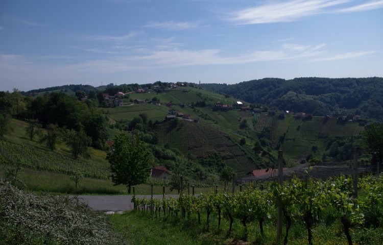 8. maj - zaključek U3 - foto povečava